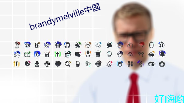 brandymelville中国