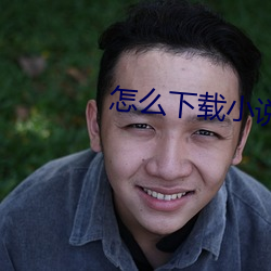 怎么下载小说