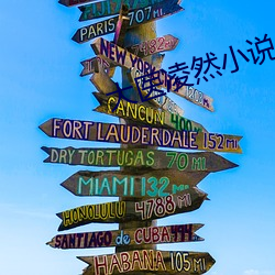 大医凌然小说
