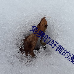 免费的好黄的漫画 （守则