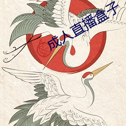 成人直播盒子