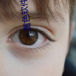 黃色軟件大全app下載3.0.3每天無限vivo版