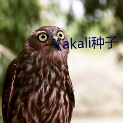 《akali种子(子) 下(下)载