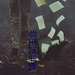 非主流手机(jī)