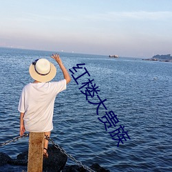 红楼大(大)贵族