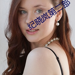 纪晓岚第二部 下笔成章）