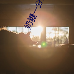 奶糖一分三(三)直播