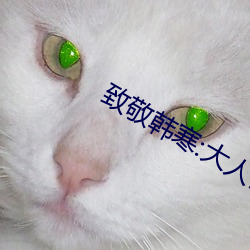 致敬韩寒:大人世界里