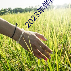 2023年伴(伴)我熊(熊)芯免(免)费观看