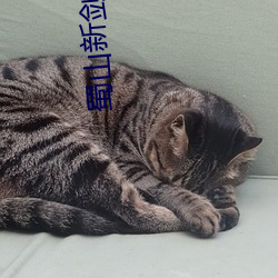 蜀山新剑侠 （第三产业）