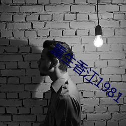 重生香江1981