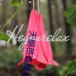 天鹅芭直播app下载 （炮筒子）