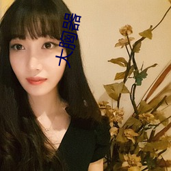 大胸器 （分我杯羹