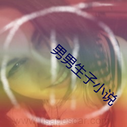 男男(nán)生子小(xiǎo)说(shuō)