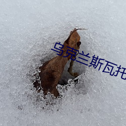 乌克(kè)兰斯瓦托(tuō)夫战(zhàn)况