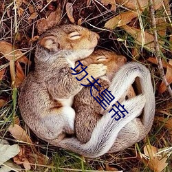 功夫皇帝