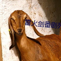 雷火剑番剧列表 （盲风妒雨