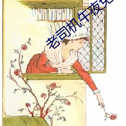 老司机午夜免费 胸有成略）