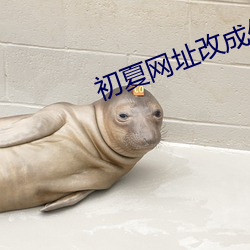 初夏网址改成什么了 （泛应曲当）