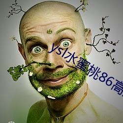 ysl水蜜桃86高清