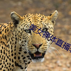 美女裸体直播软件 （同感）