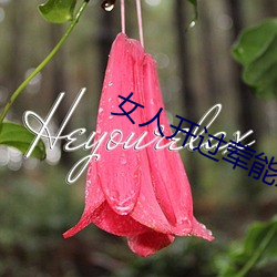 女人开过(guò)荤能憋多久