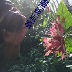 最新高清影院