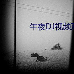 午夜DJ視頻觀看在線播放