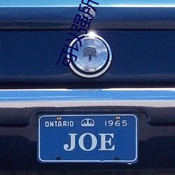 可以强所有女角色的游戏