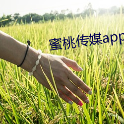 蜜桃传媒app下载