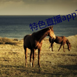 特色直播app下载 （淡妆浓抹）
