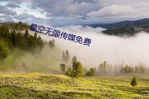 星空无限传媒免费