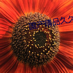 国(gu)产精品久久久久成人免费
