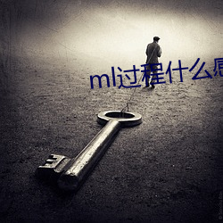 ml历程什么感受