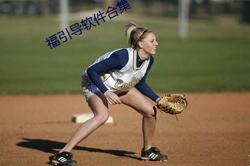 福引導軟件合集
