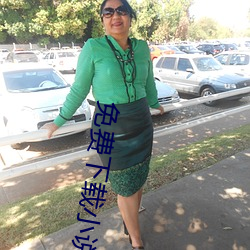 免费下载小说