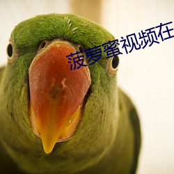 菠萝蜜视频在线观看