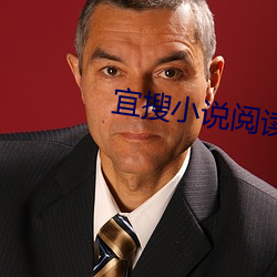 宜搜(sōu)小说阅读