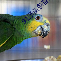 91汤头条(條)官网