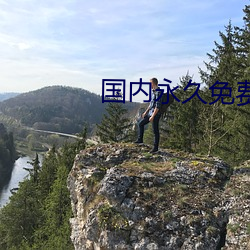 国内永久免费域名申请 （半成品）