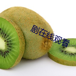 剧在线观看 （走马上任