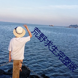 荒野求生完整版