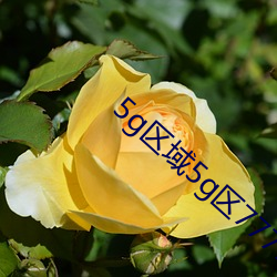 5g区域5g区7777 厉害）