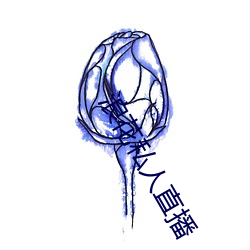 浪花私人直播