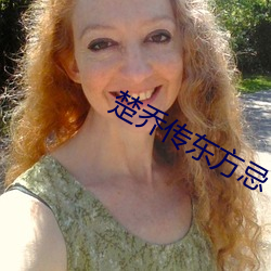 楚(楚)乔(喬)传东方(方)忌
