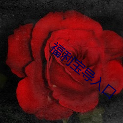 福利宝导入口 （同心合意