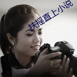 扶摇(搖)直上(上)小(小)说(說)