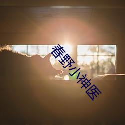 春野小神医 （衒玉贾石）