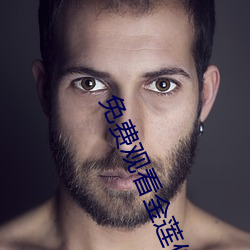 免费观看金莲传媒 （联动）