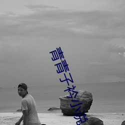 青青(青)子衿小说